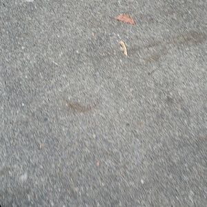 Meet your Posher, Daria